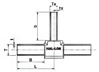 1766049792959594.jpg 56.jpg