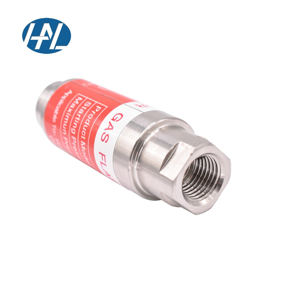 Stainless Steel Internal Thread Fire Arrestor: Precision Defense for Safety Protection