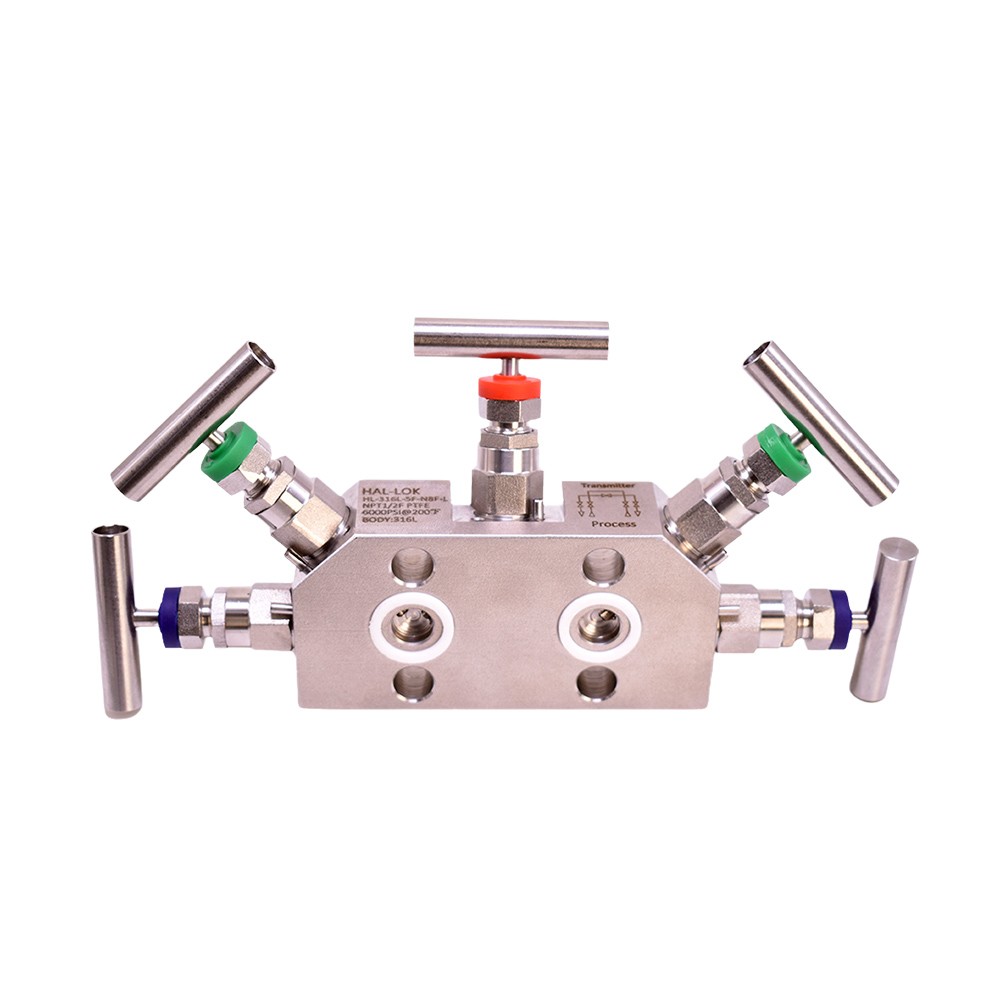 5 Way Manifold Valve